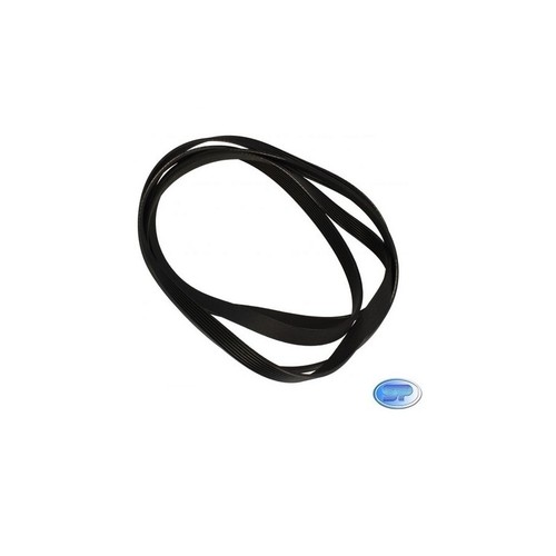 Corde élastique 1956 - 1956, h7